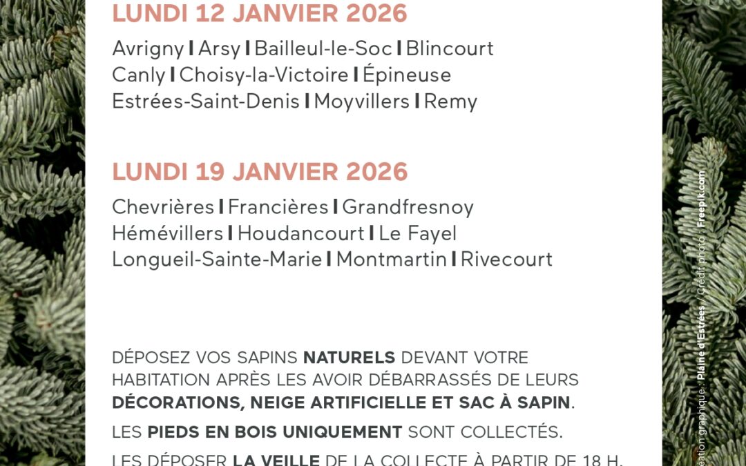 Collecte des sapins de Noël